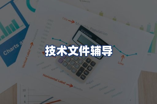 技术文件辅导