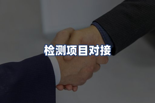检测项目对接